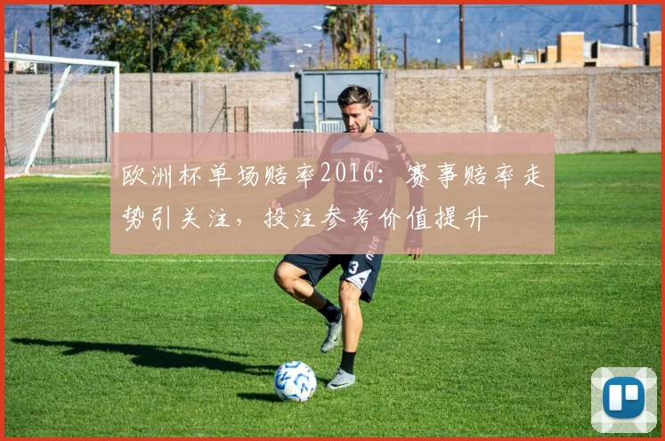 欧洲杯单场赔率2016：赛事赔率走势引关注，投注参考价值提升
