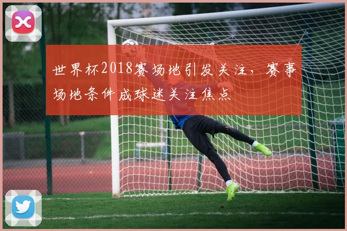 世界杯2018赛场地引发关注，赛事场地条件成球迷关注焦点